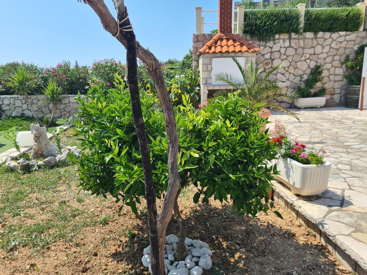 Villa Sea Oasis Ratac Slano Exterior foto